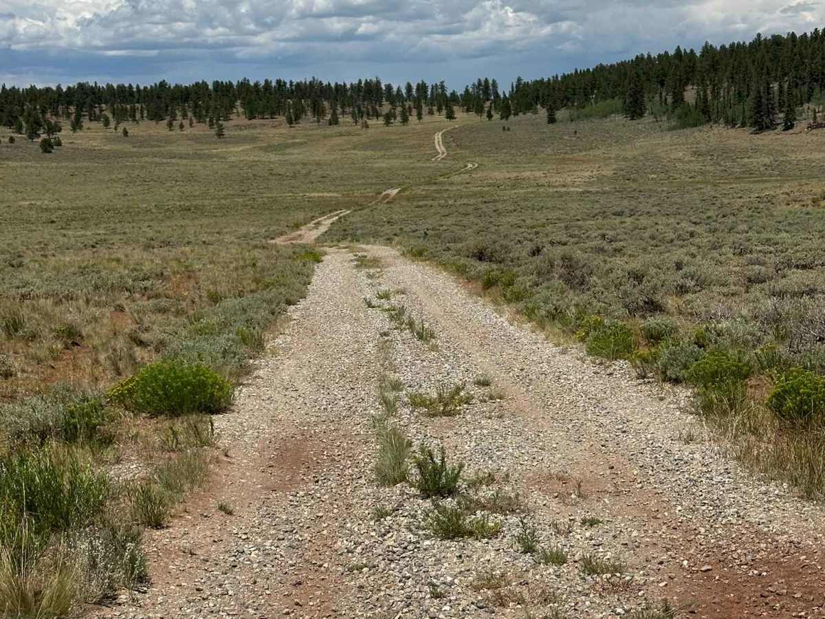 Ponderosa Road photo 6