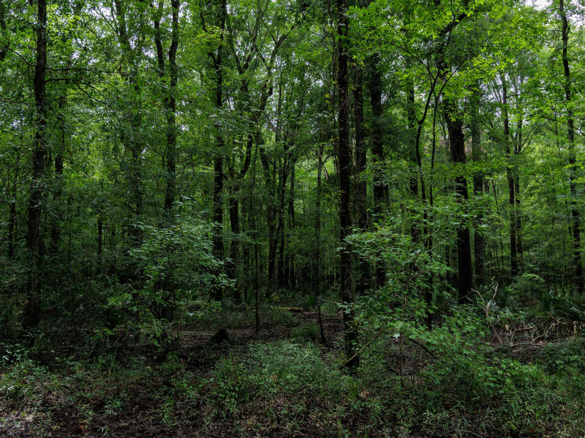 Miller Lake Access photo 6