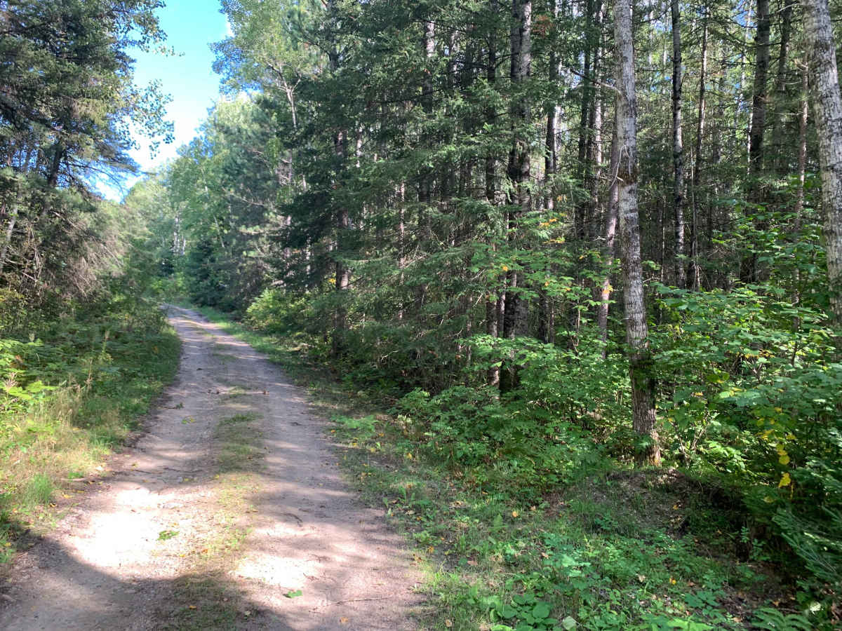 Marion Creek - FS 492 photo 2