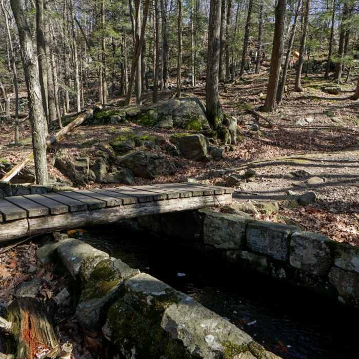 Near Lemon Squeezer + Lichen Trail