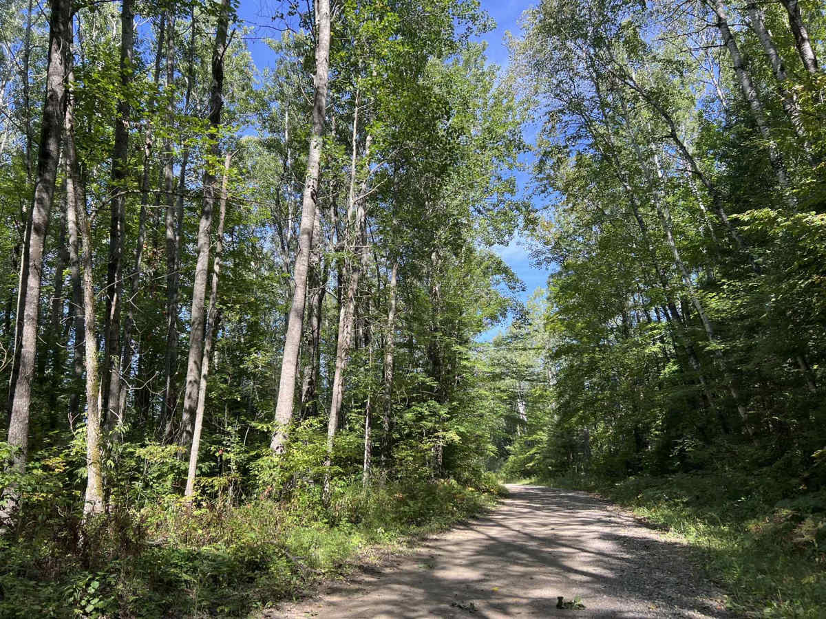 Rat River Road - FS 2134 trail photo