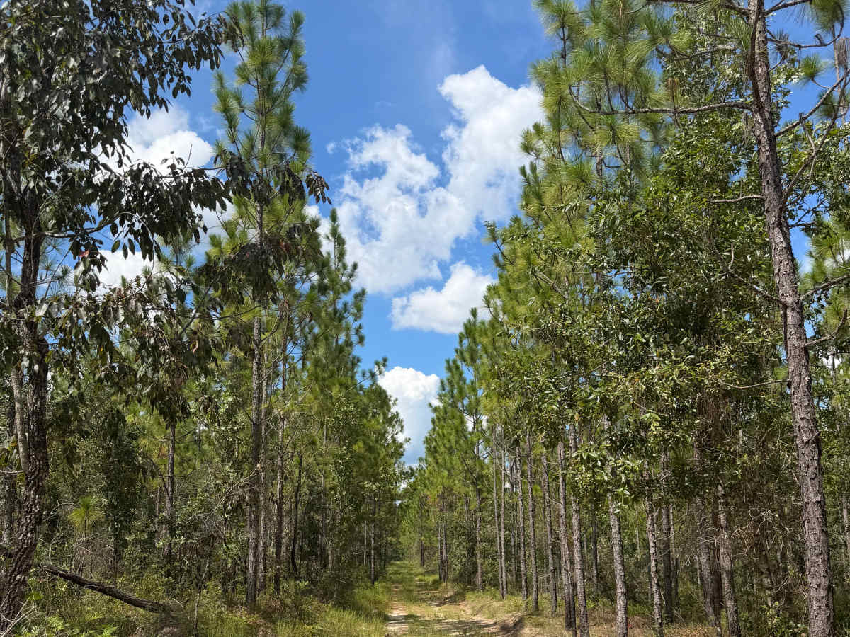 Blackwater River R79 photo 5