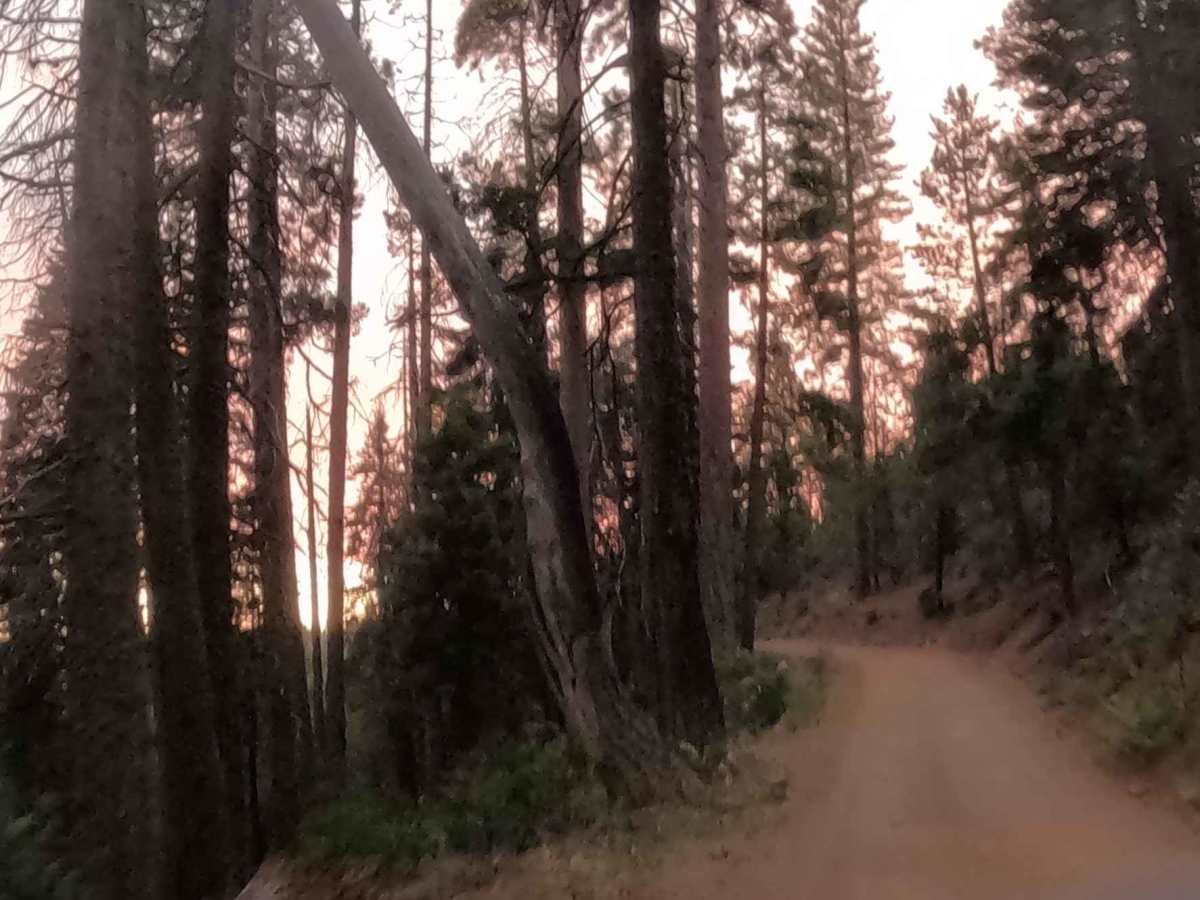 Soquel Meadow - FS 6S040 photo 6