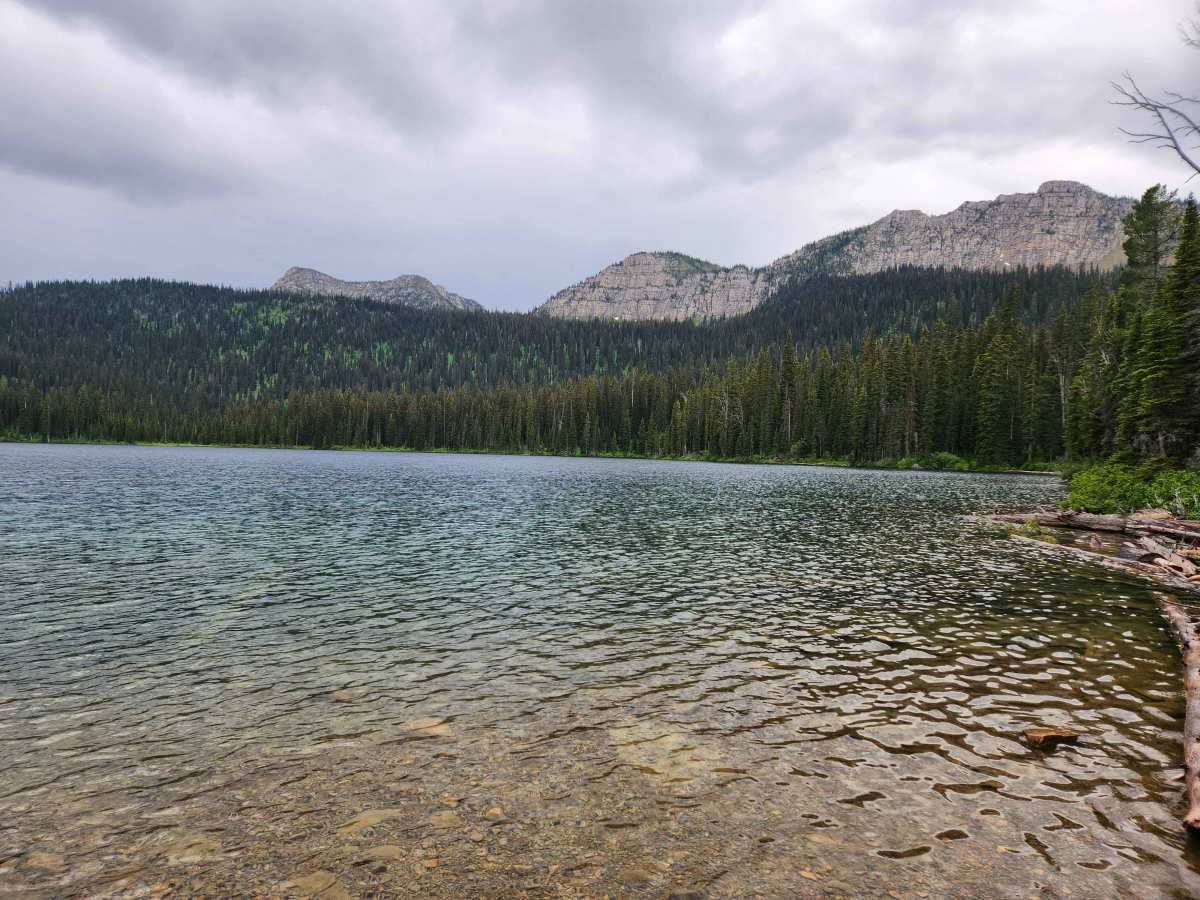 Bluebird Creek trail photo