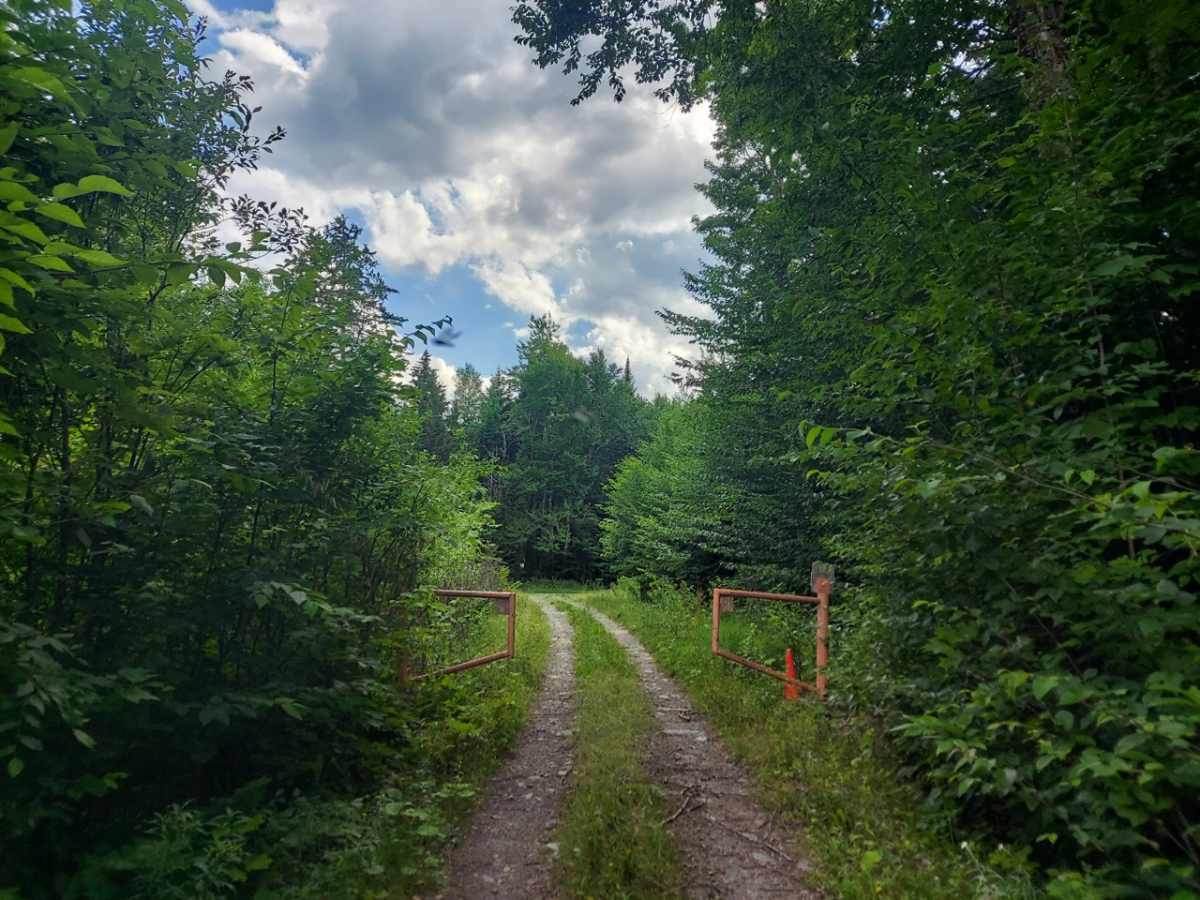 Deer Fly Lane trail photo