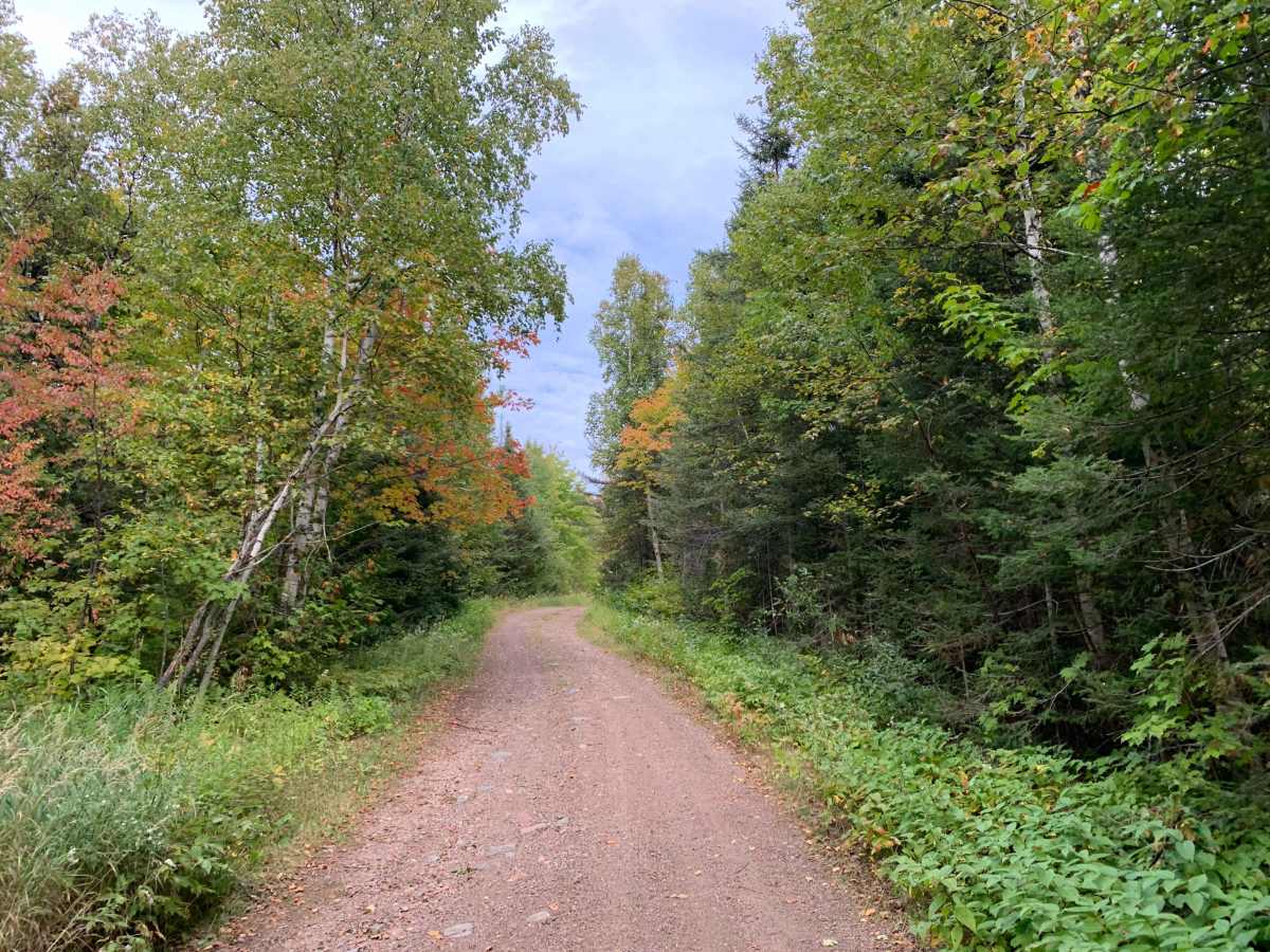 Pearl Lake Trail - FS 1849 photo 2