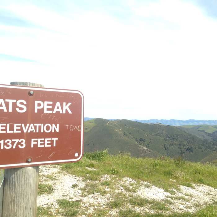 Near Oats Peak Trail
