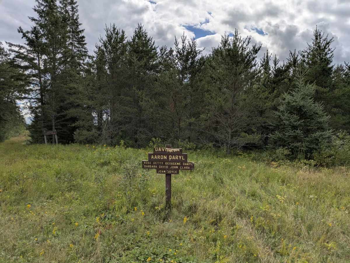Nyhiem Forest Road photo 4