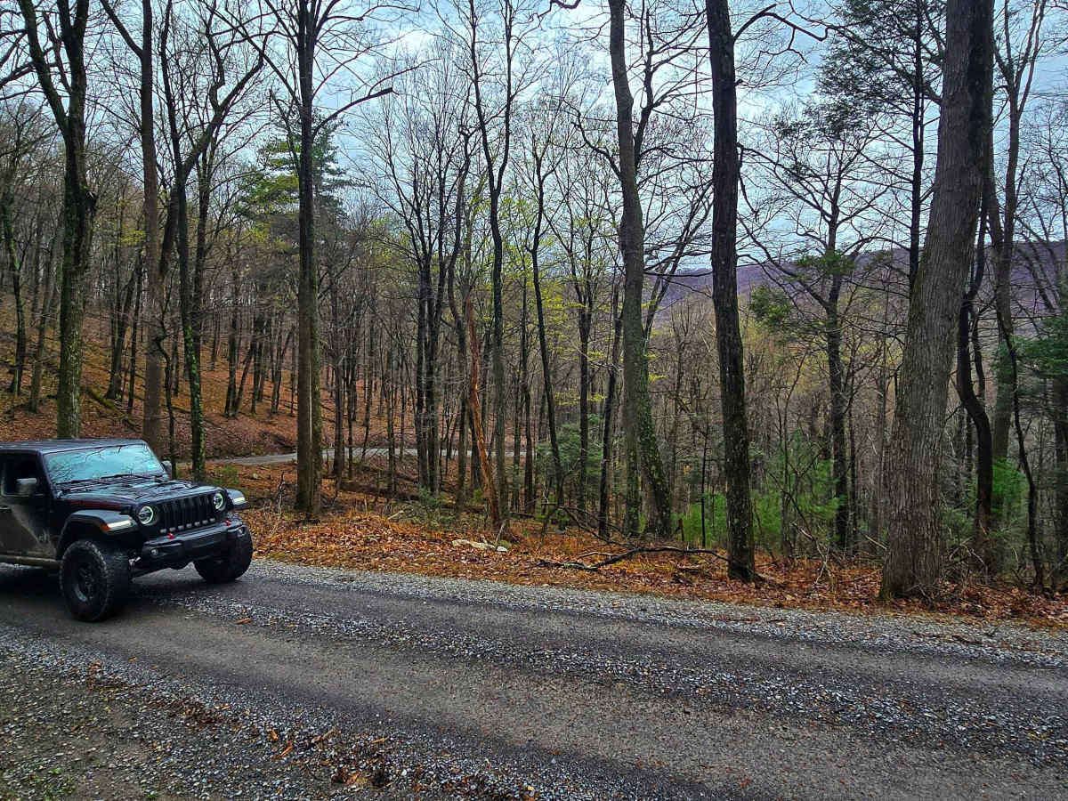 Meadows Road photo 3