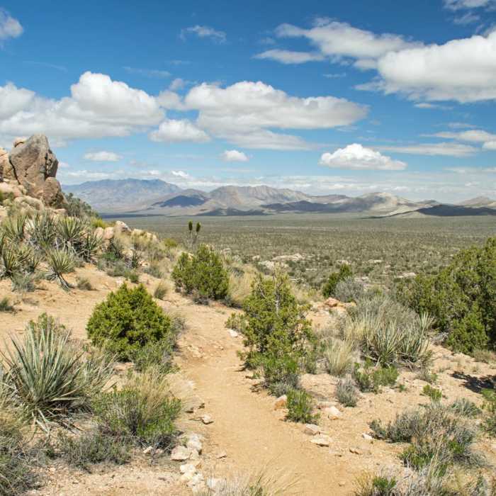 Near Teutonia Peak Trail