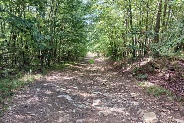 Radio Road - Rock Run Recreation Area