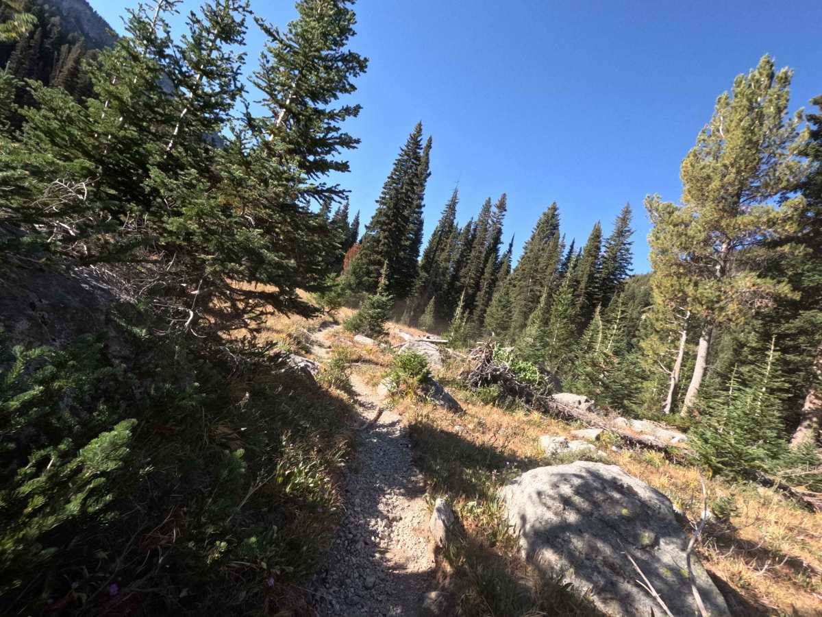South Fork Ross Fork - FS 7227 photo 6