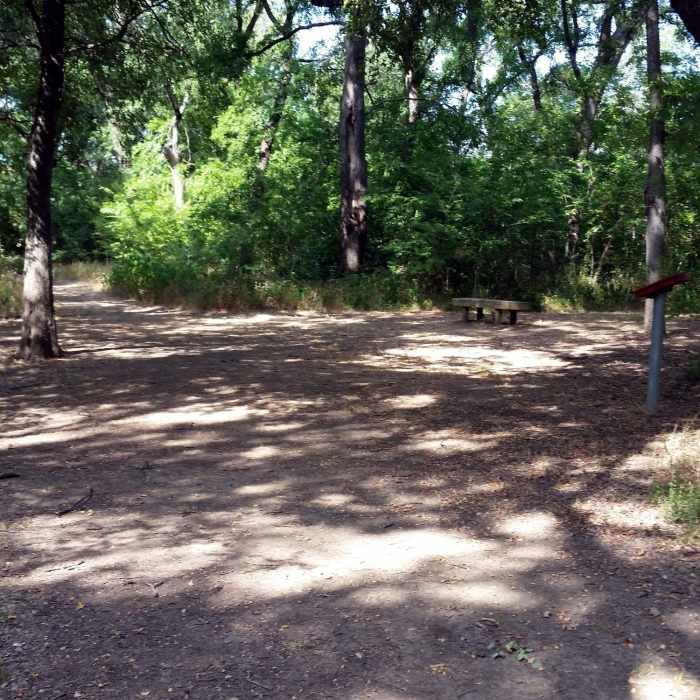 Thicket & Pond Loops junction, with bench and educational info Near Campion Trail (North)