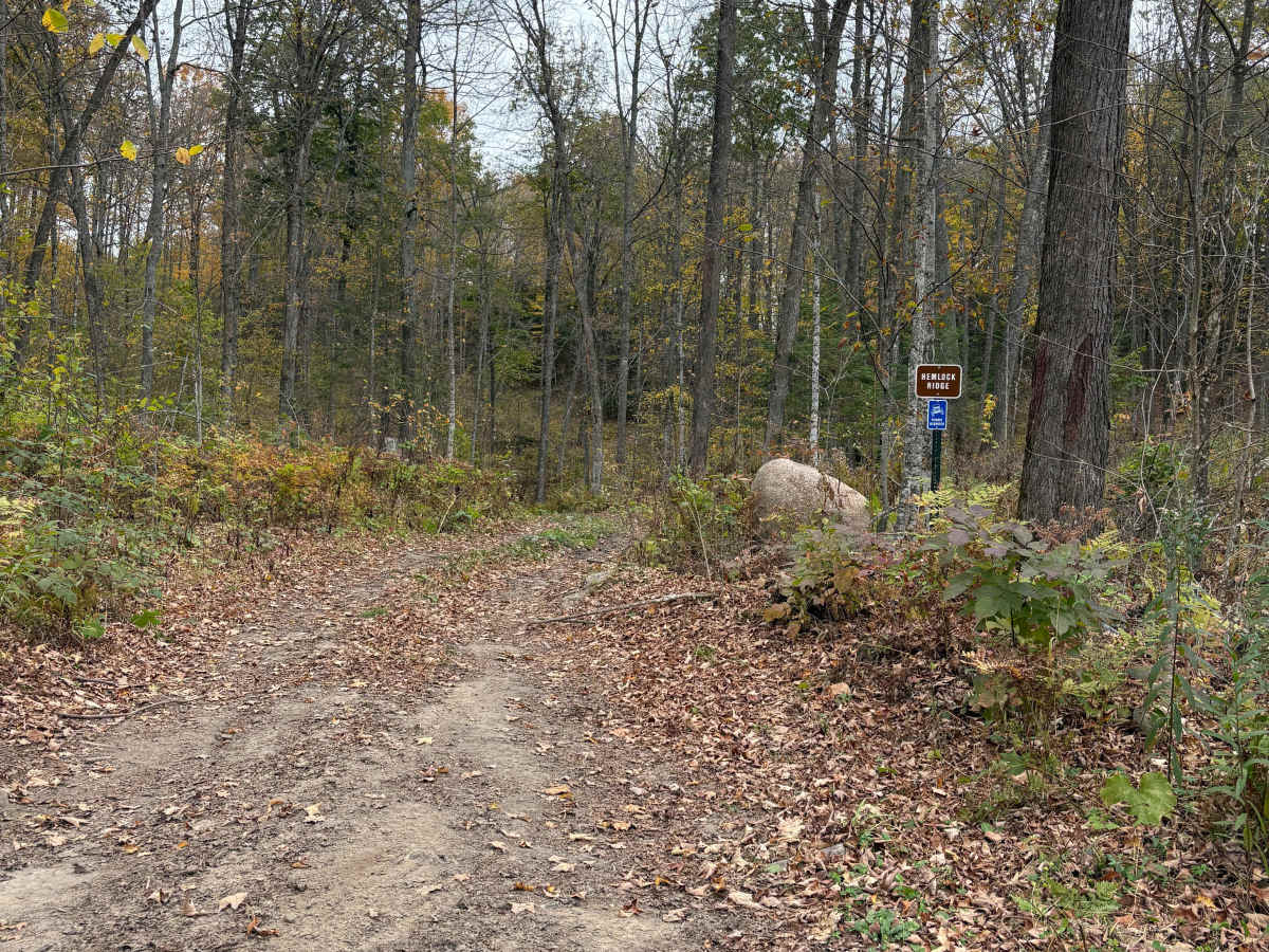 Hemlock North/South photo 6