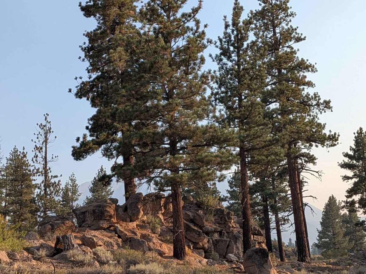 Granite Boulder Scenic Road - FS 4S40 photo 6