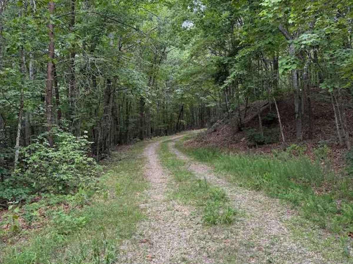 Peters Creek trail photo