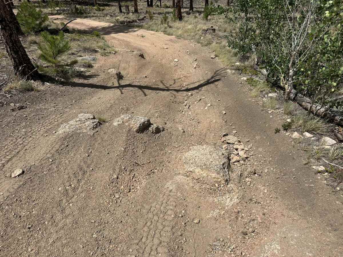 Messenger Road trail photo