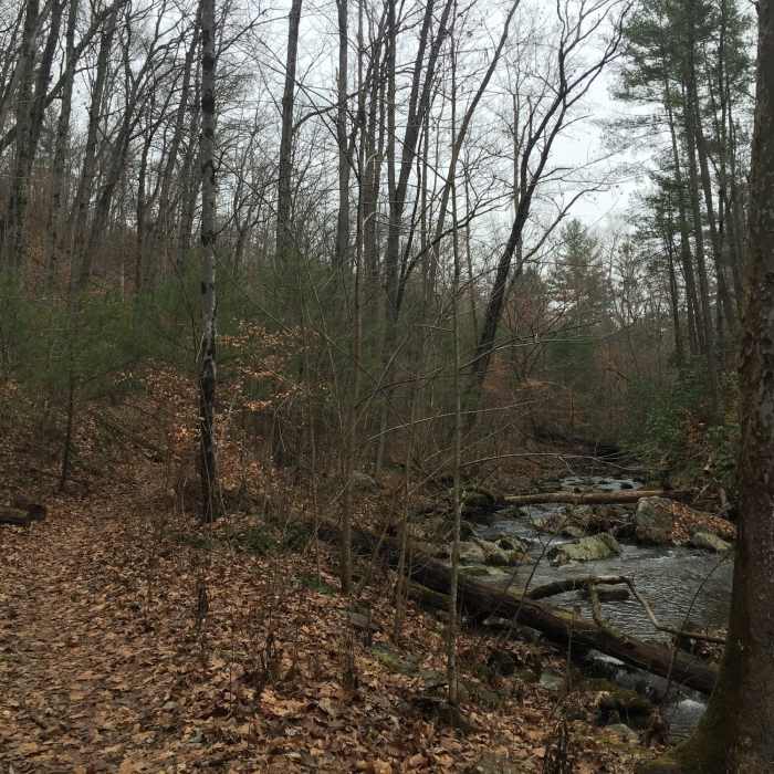 Near Punchbowl Mountain to James River