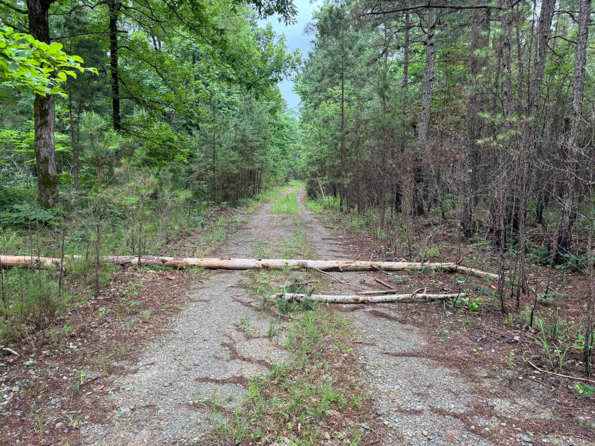 Proctor Mountain photo 4