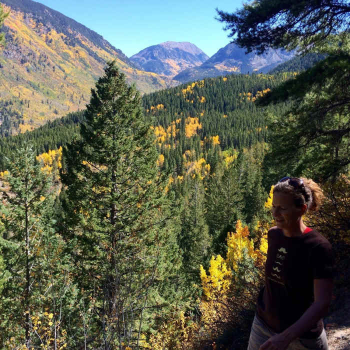 Views towards Independence Pass. Near Difficult Creek Trail