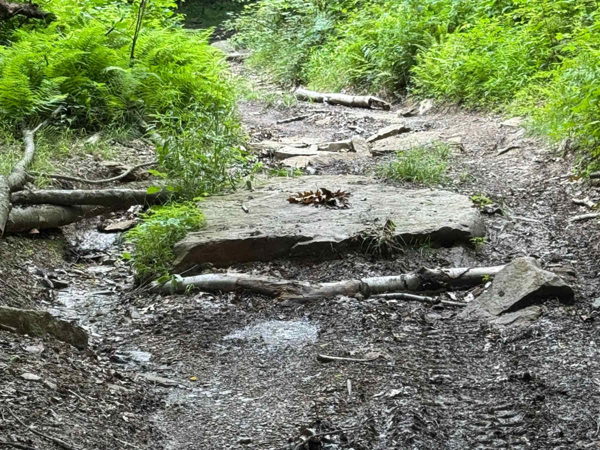 Trail 36 photo 6