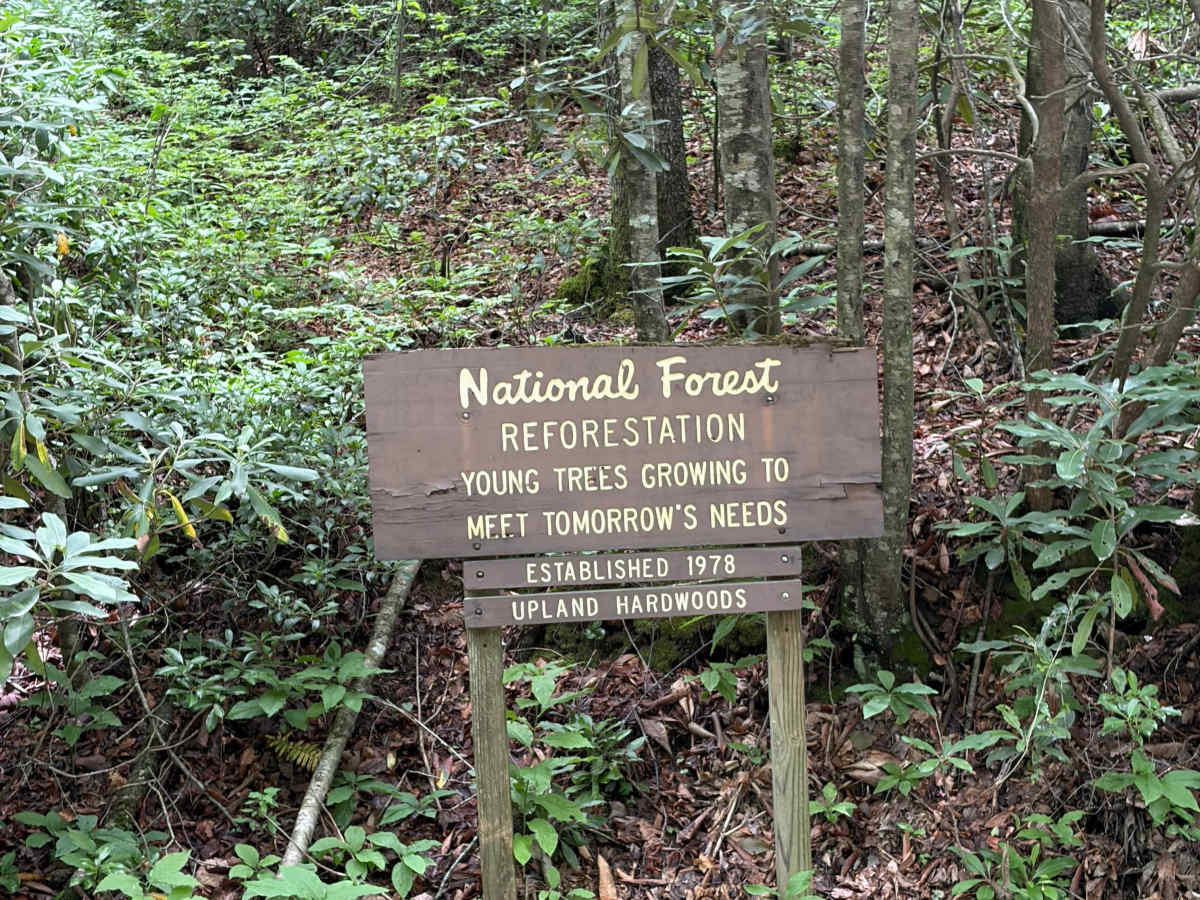 Headwater photo 5