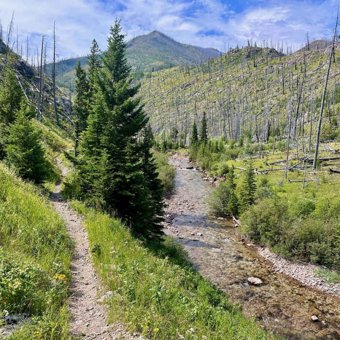 Near Montana Trail Section 4