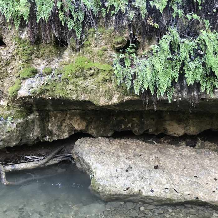 Trickling waterfall Near Turkey Creek Trail