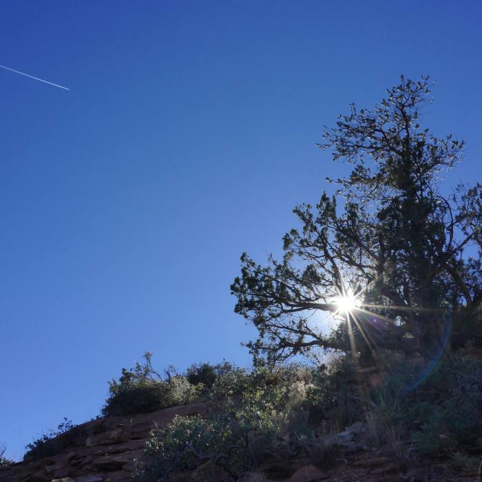 Near Jim Thompson Trail