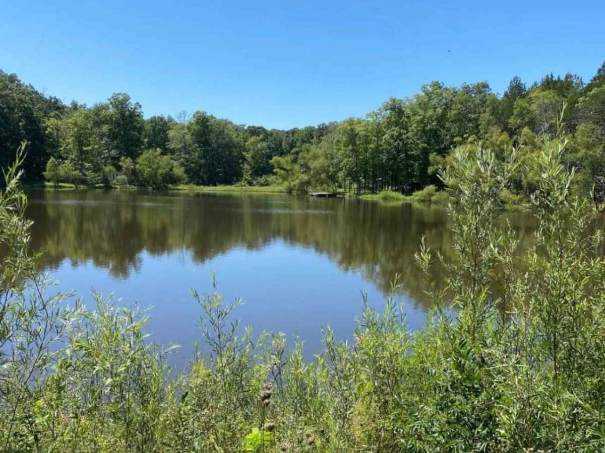 Lake Shore Loop photo 3