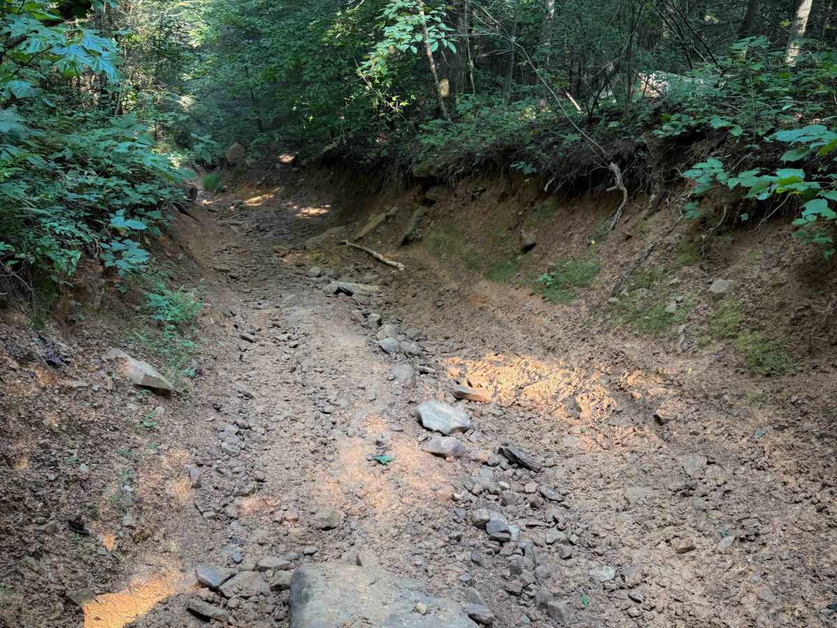 Thompson Hollow 35  photo 6