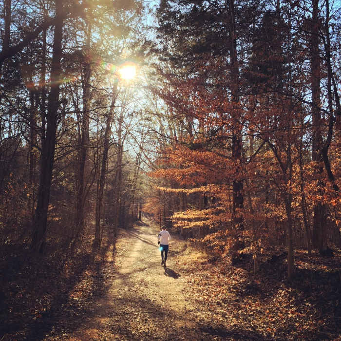 Great light makes for a beautiful run on the Buffalo Creek Trail. Near Buffalo Creek - Collie Ridge - Mill Branch Trails