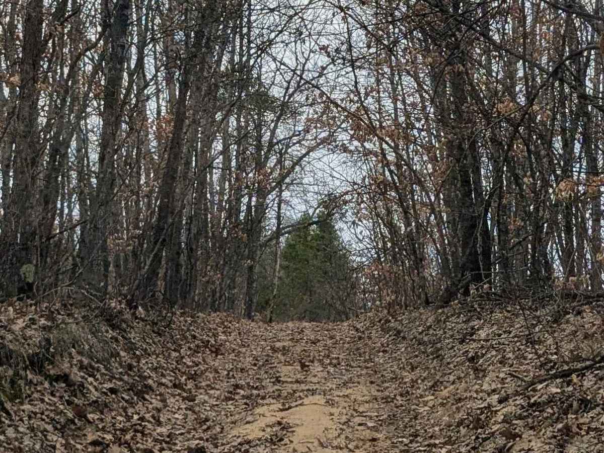Hilly Trail photo 3
