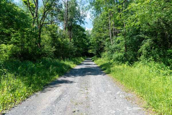 Brown Rd