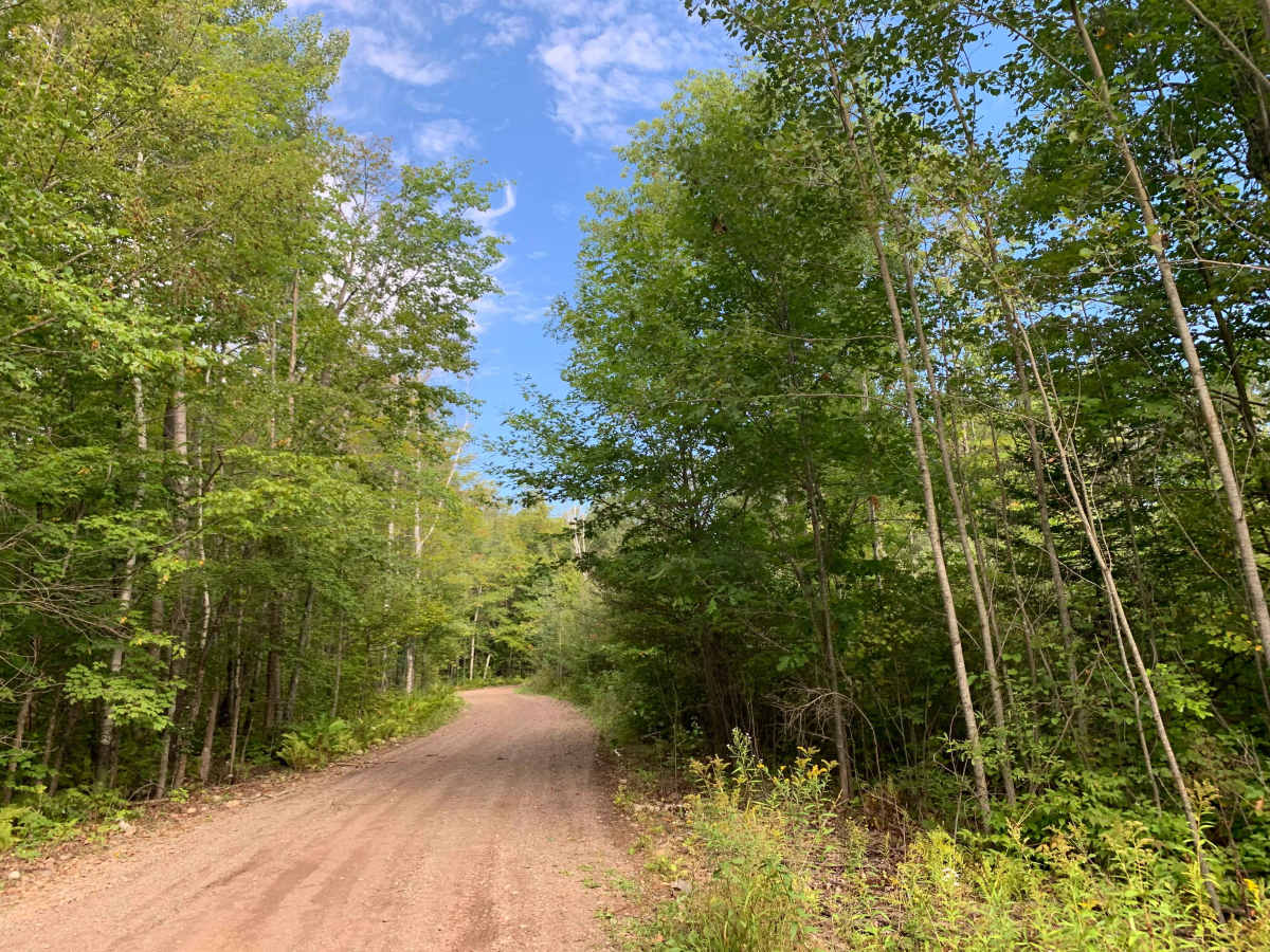 Gravel Pit Trail photo 3