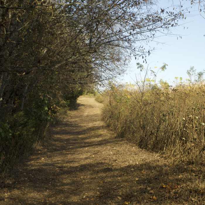 Near Upland Trail Outer Loop