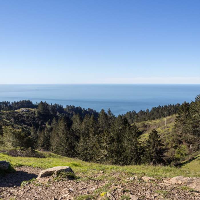 Near Bay Area Ridge Trail: Mount Tamalpais State Park and Dias Ridge Trail