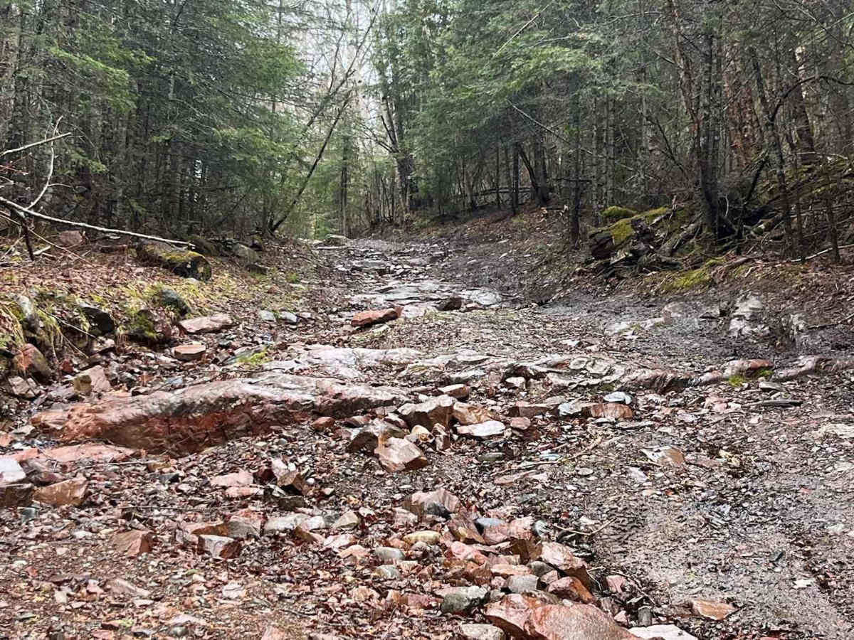 Thrasher Trail photo 3