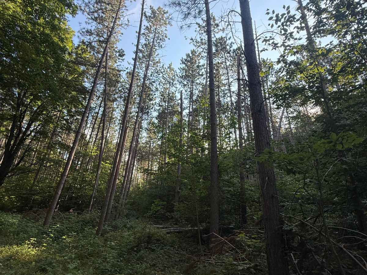 FS 5903 photo 6