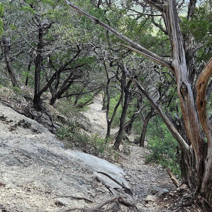 Facing behind, showing the trail you have climbed (at a point before Crystal Cave). Near Old Entrance Road