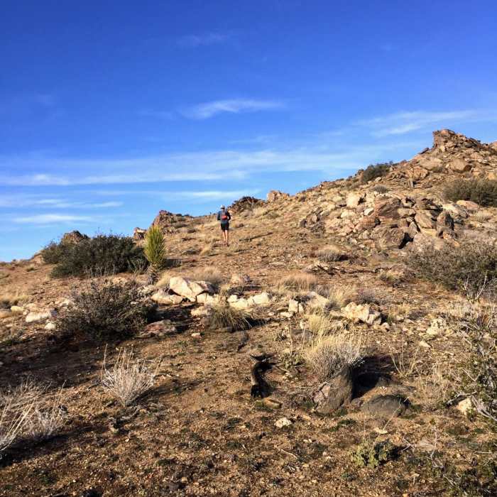 Near Quail Mountain Loop