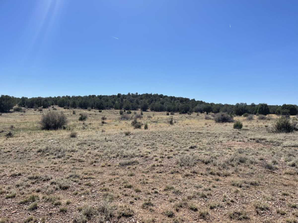 Pine Flat photo 6