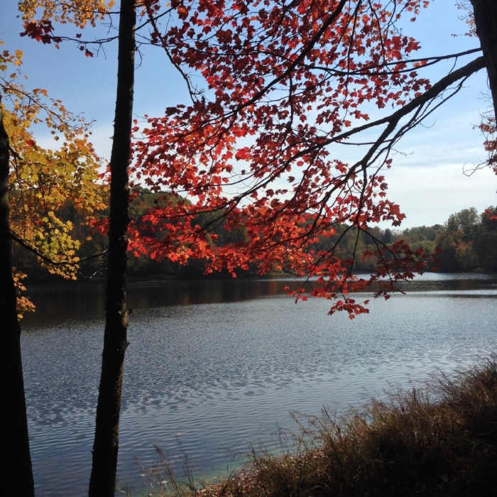 Lake Frank in the fall. Near Lake Bernard Frank Loop