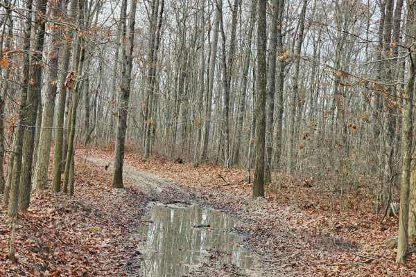 Sulfer Branch Road