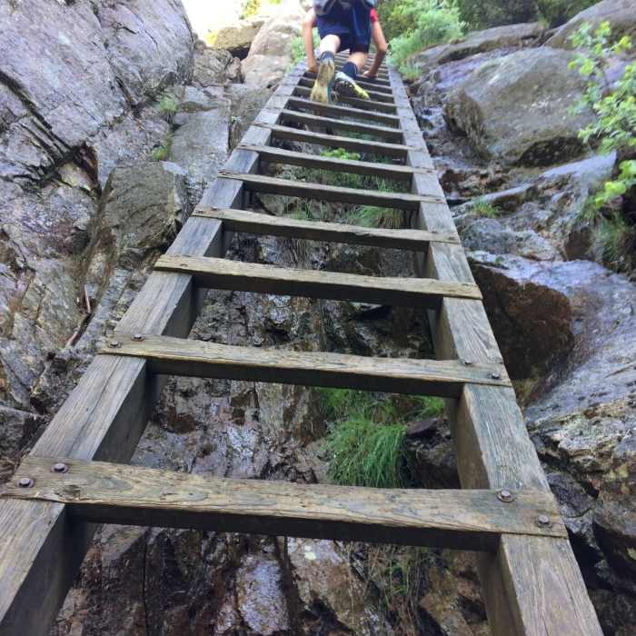 Near Crane Mountain Path