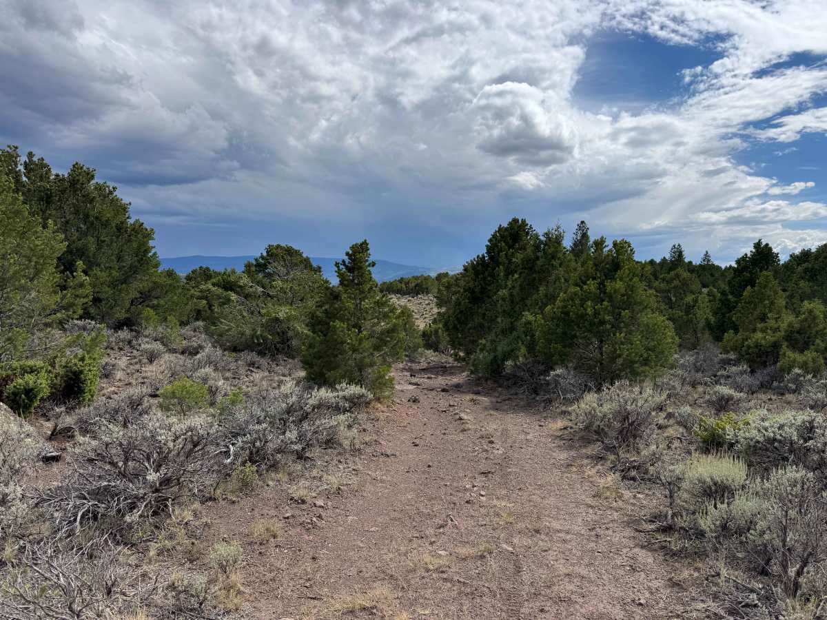 Trailhead Road trail photo