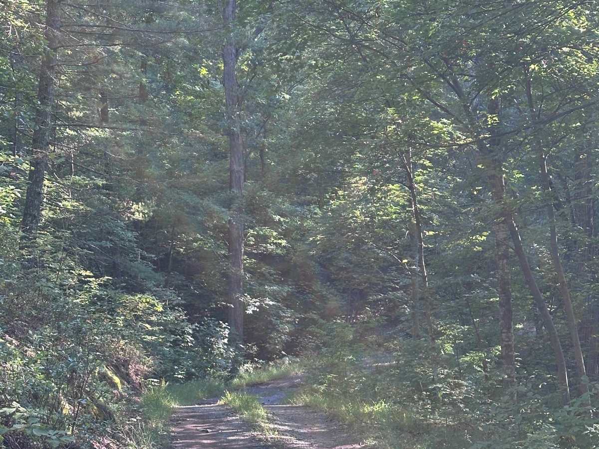 Beards Mountain  photo 4