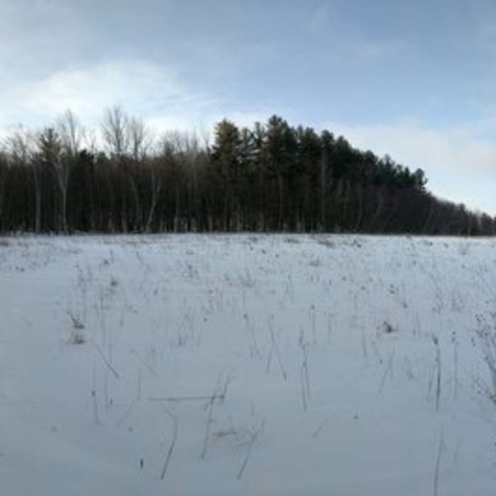 Near Questing Reservation Loop Trail