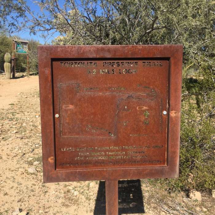 Near Tortolita Preserve Loop