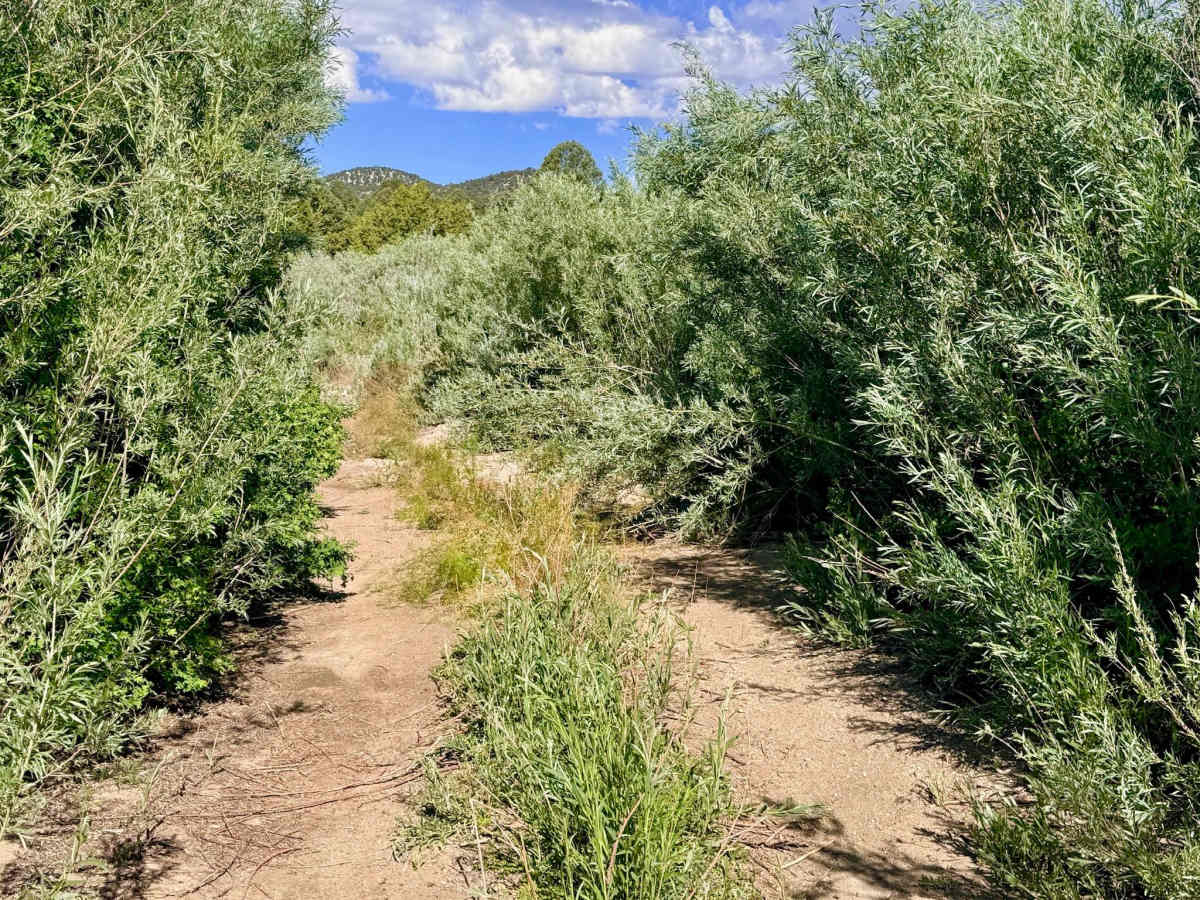 Lower Cross Canyon photo 6